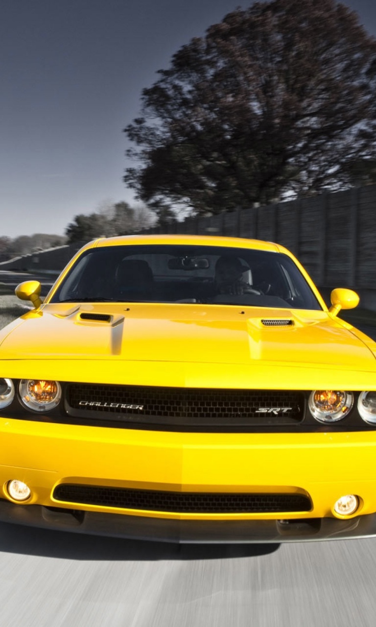 Dodge Challenger SRT8 392 wallpaper 768x1280