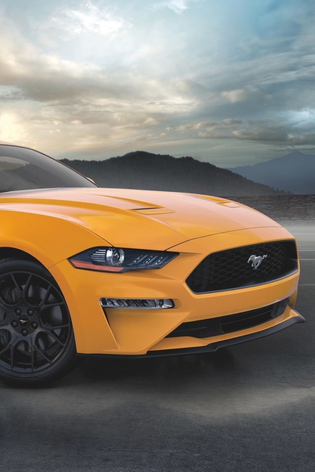 Das Ford Mustang Coupe Wallpaper 640x960