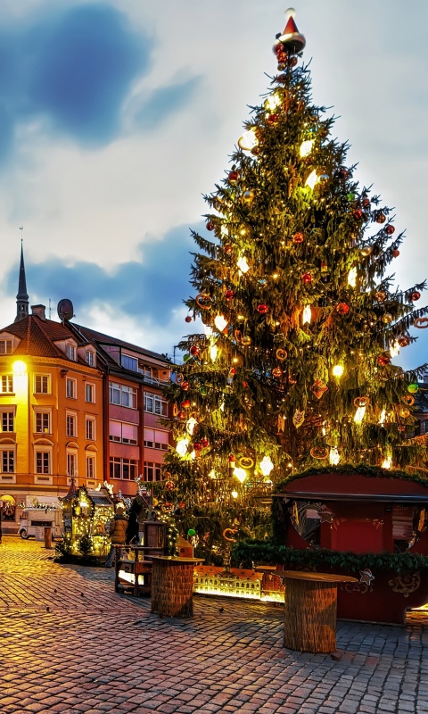 Das Riga Christmas Market Wallpaper 480x800