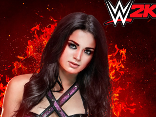 Das WWE 2K15 Paige Wallpaper 320x240