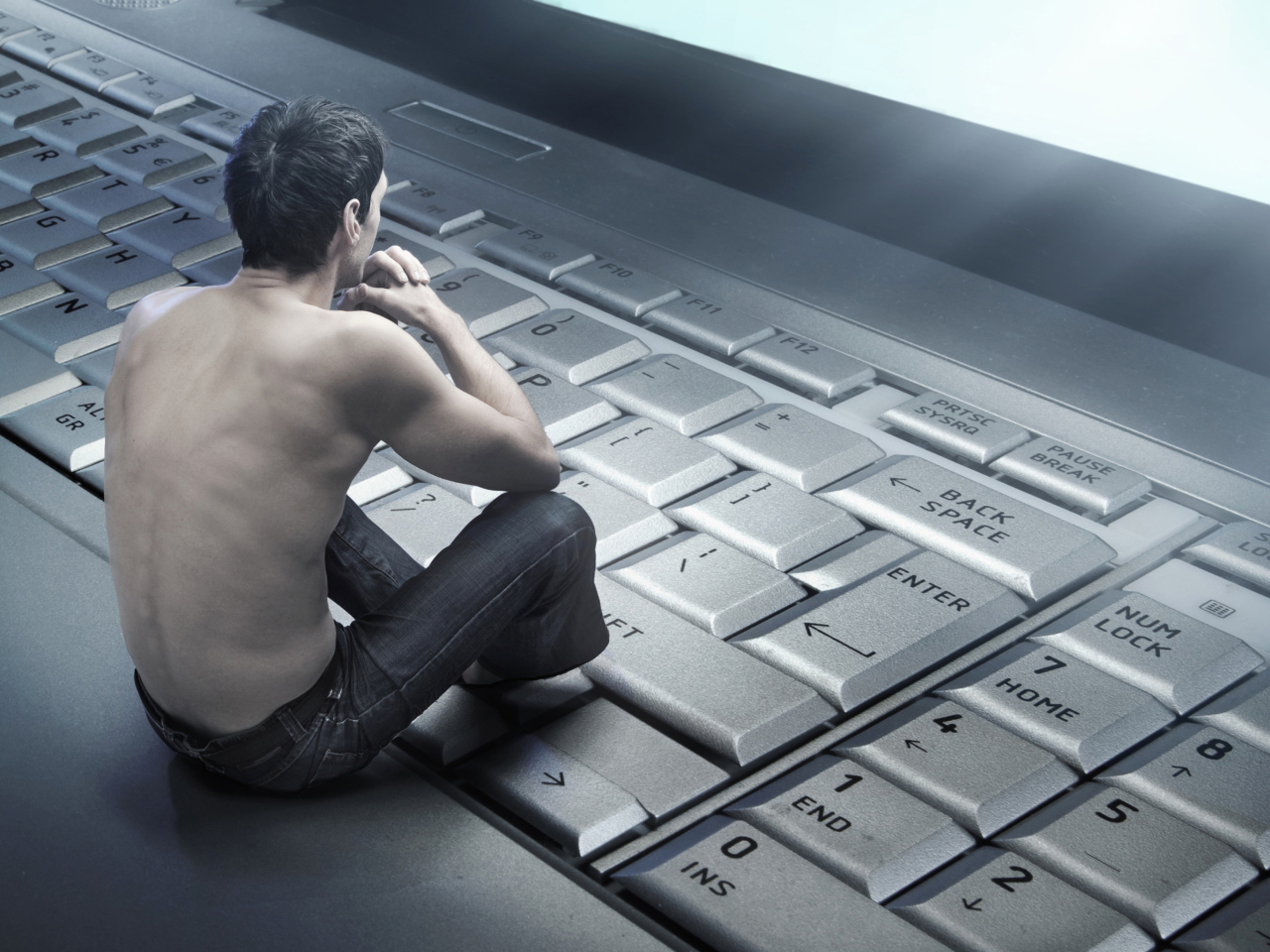 Обои Man Sitting On Keyboard 1280x960