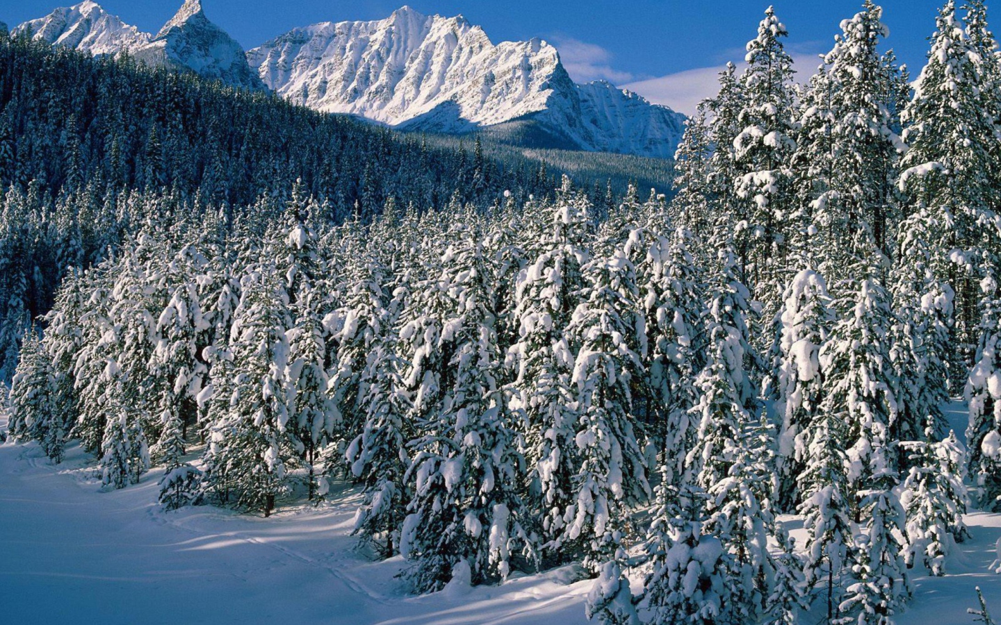 Screenshot №1 pro téma Canada's Winter 1440x900