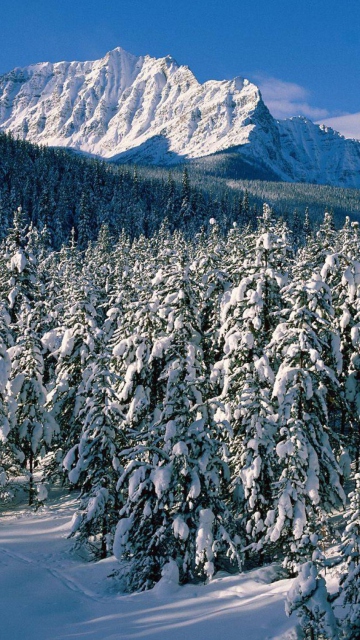 Canada's Winter wallpaper 360x640