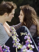 Edward Bella Twilight Breaking Dawn Part 2 wallpaper 132x176