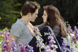 Free Edward Bella Twilight Breaking Dawn Part 2 Picture for Android, iPhone and iPad