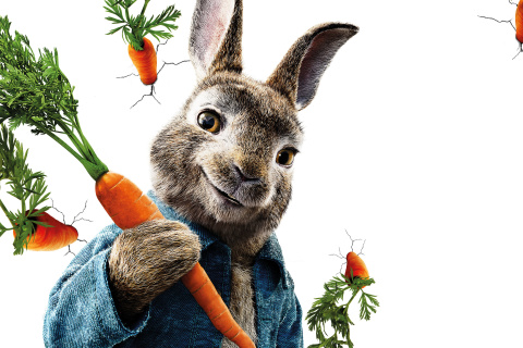 Peter Rabbit 2018 wallpaper 480x320