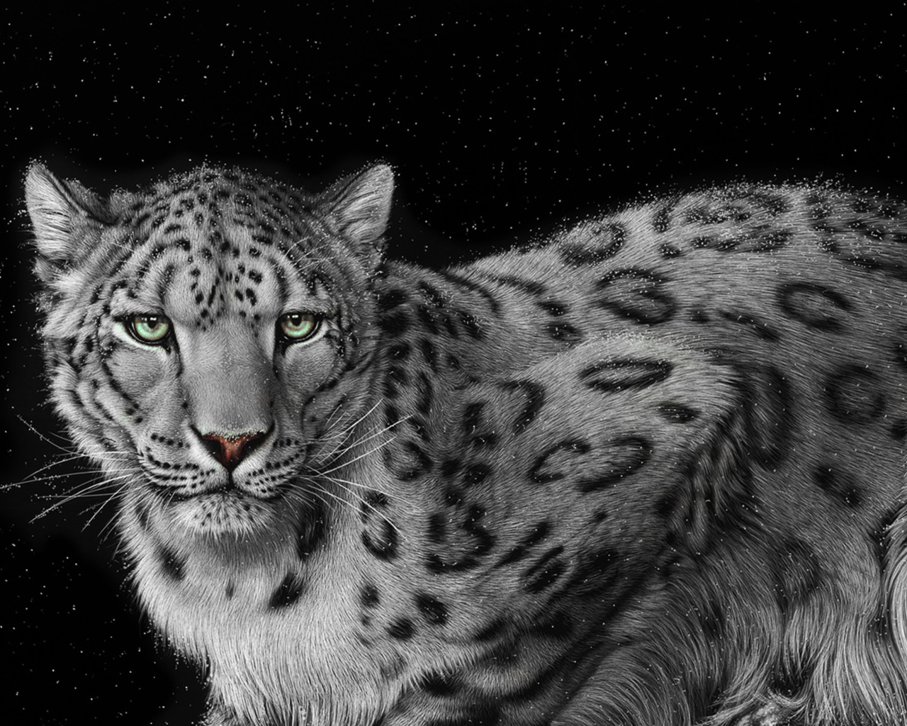 Screenshot №1 pro téma Snow Leopard 1280x1024