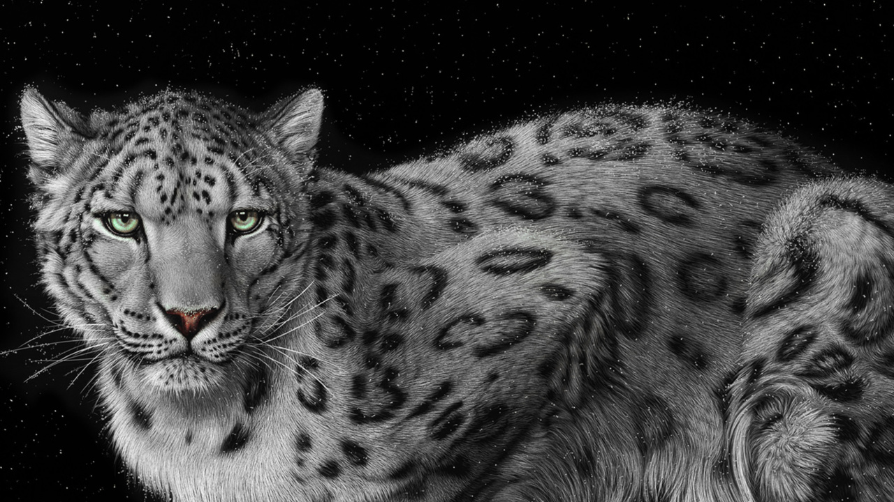 Screenshot №1 pro téma Snow Leopard 1280x720