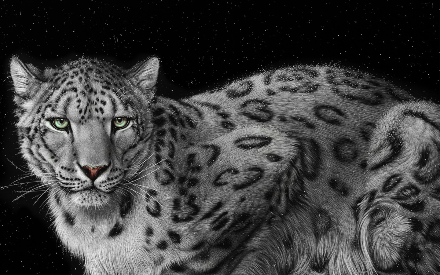Screenshot №1 pro téma Snow Leopard 1440x900