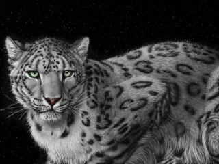 Das Snow Leopard Wallpaper 320x240