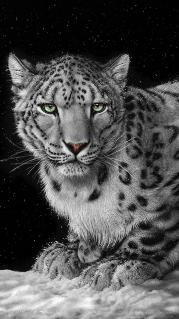 Snow Leopard screenshot #1 360x640