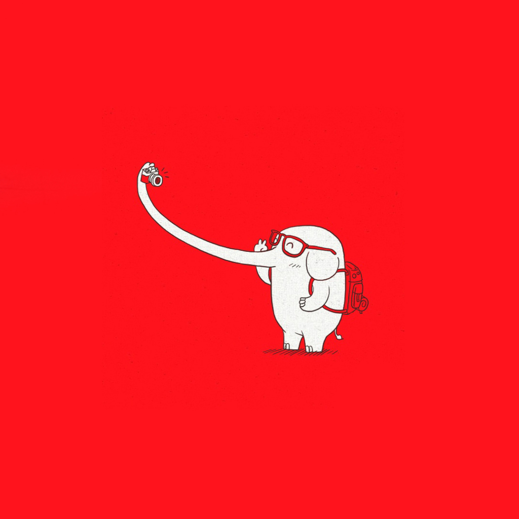 Обои Elephant On Red Backgrpund 1024x1024