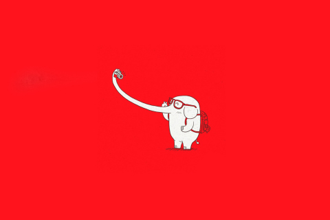 Elephant On Red Backgrpund wallpaper 480x320