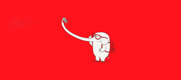 Sfondi Elephant On Red Backgrpund 720x320