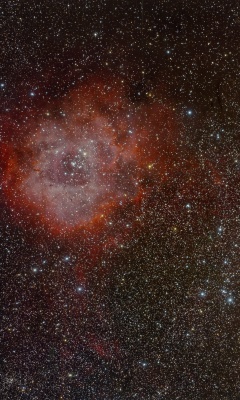 Обои Andromeda Nebula 240x400