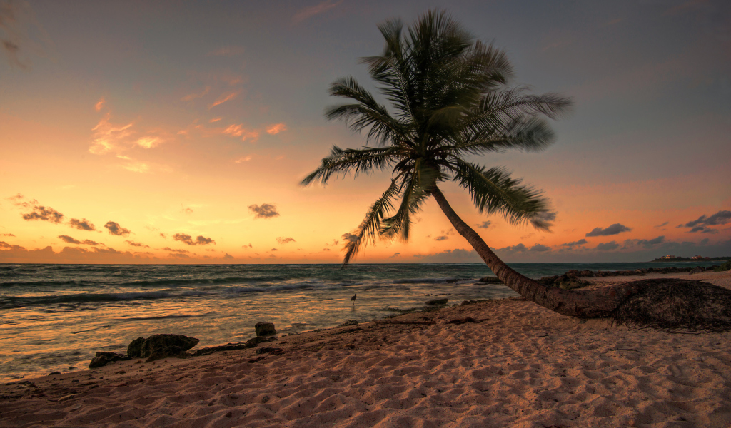 Sfondi Mexican Beach 1024x600