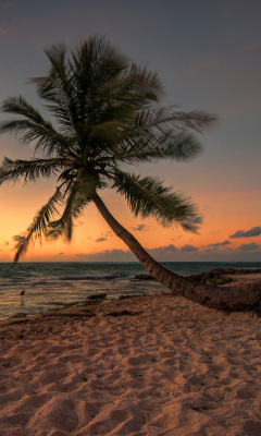 Sfondi Mexican Beach 240x400