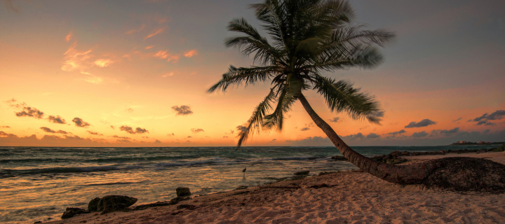 Fondo de pantalla Mexican Beach 720x320