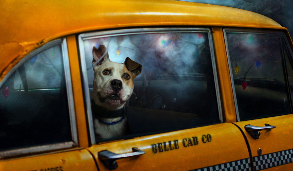 Screenshot №1 pro téma Yellow Cab Dog 1024x600