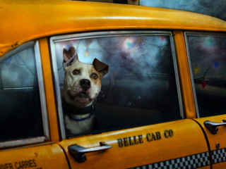 Das Yellow Cab Dog Wallpaper 320x240