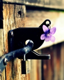 Purple Flower Lock Door wallpaper 128x160