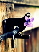 Purple Flower Lock Door wallpaper 132x176