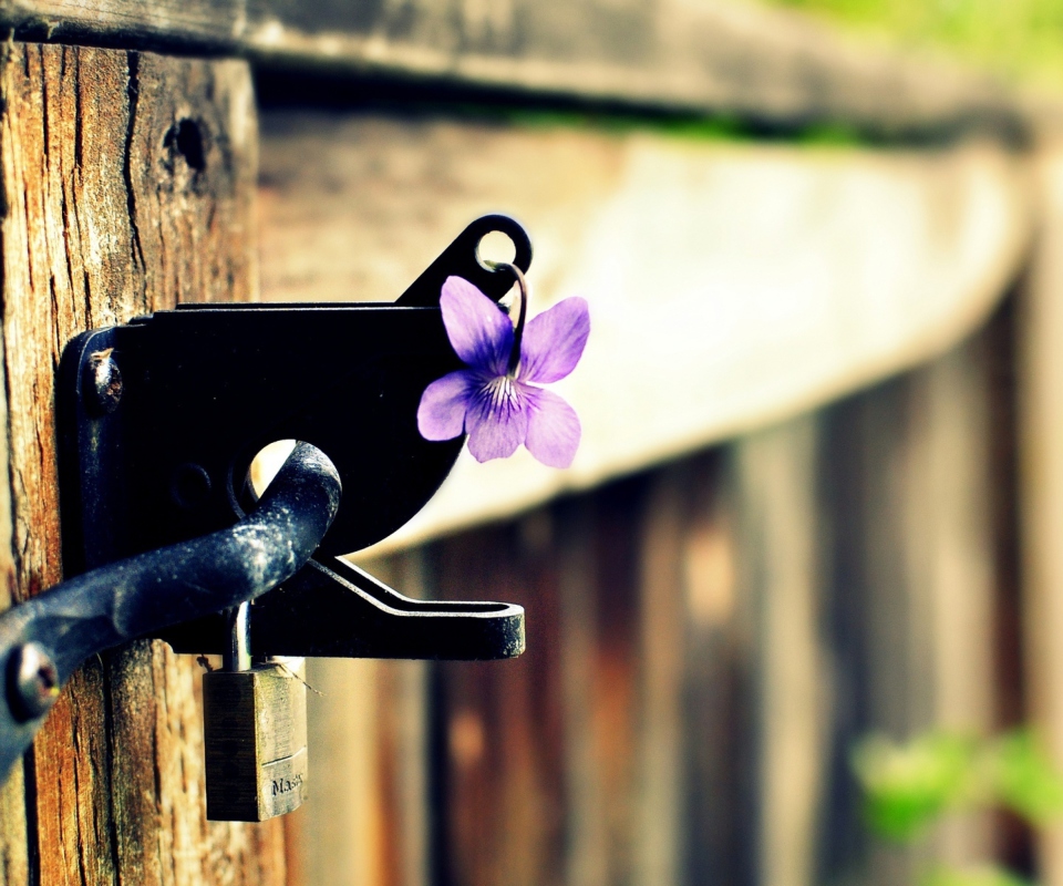 Das Purple Flower Lock Door Wallpaper 960x800