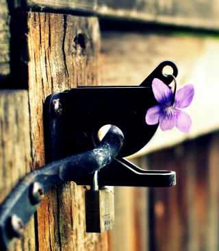 Purple Flower Lock Door - Obrázkek zdarma pro 240x320