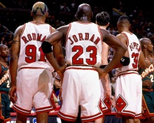 Chicago Bulls with Jordan, Pippen, Rodman wallpaper 220x176