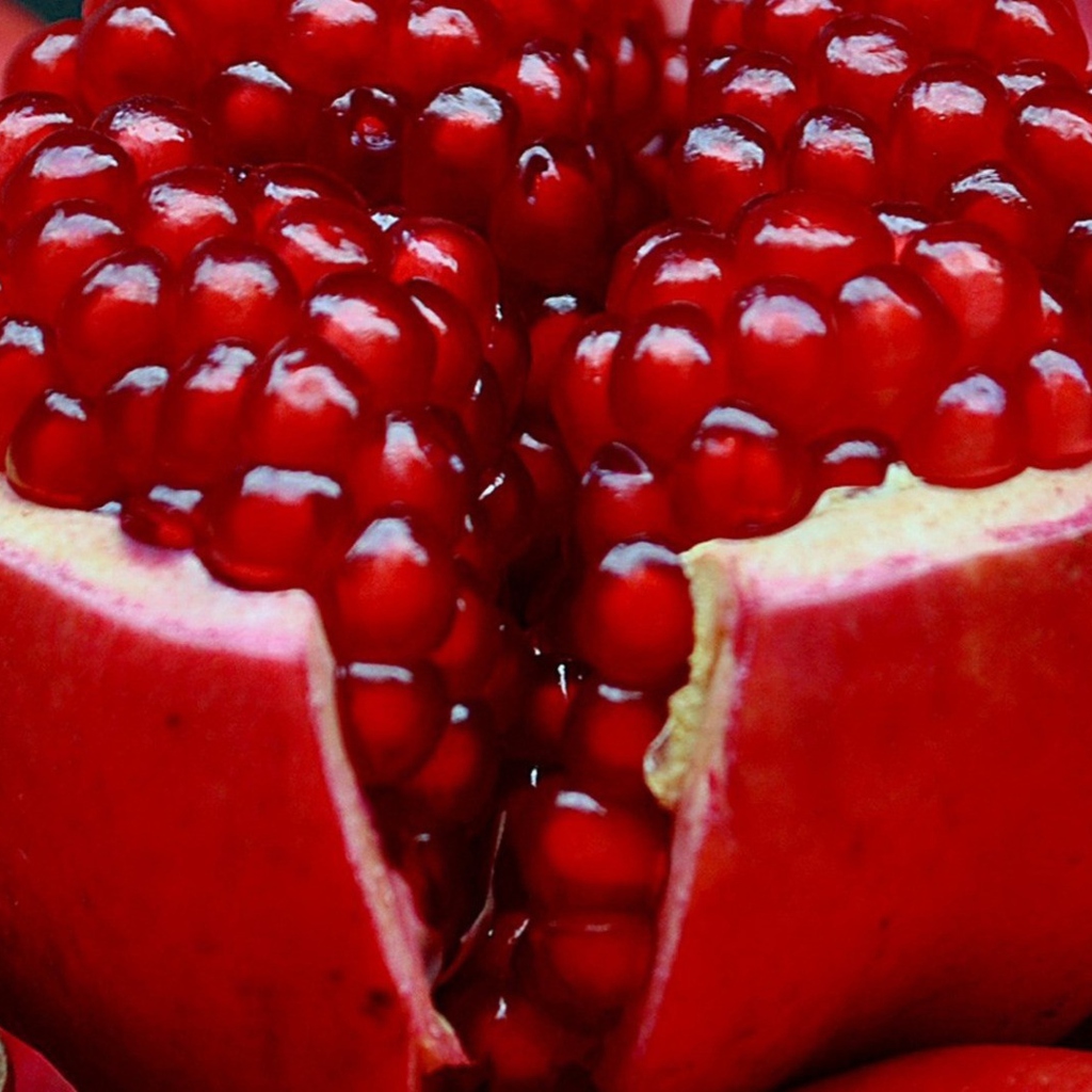 Pomegranate screenshot #1 1024x1024