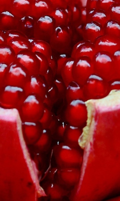 Pomegranate wallpaper 240x400