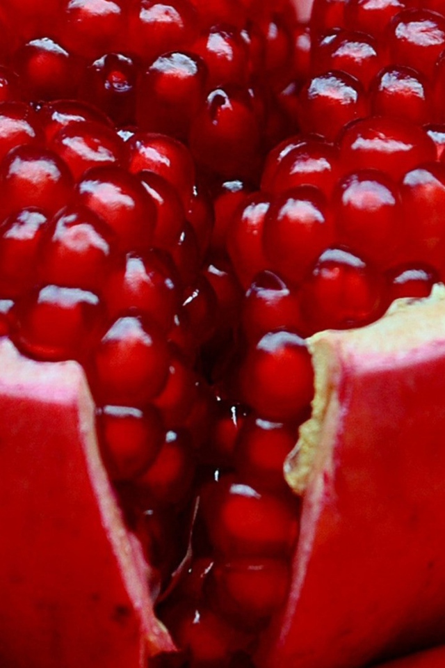 Pomegranate wallpaper 640x960