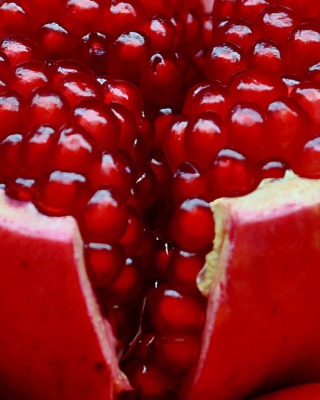 Pomegranate - Obrázkek zdarma pro Nokia Asha 306