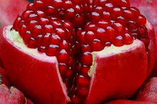 Pomegranate - Obrázkek zdarma pro Nokia XL