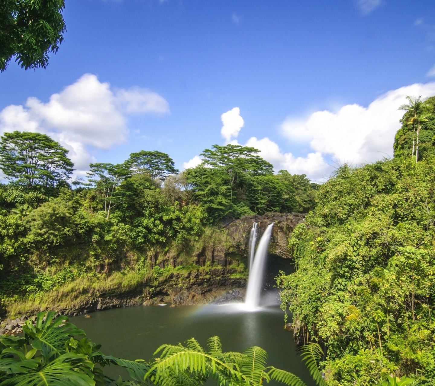 Sfondi Waimoku Hawaii Waterfall 1440x1280