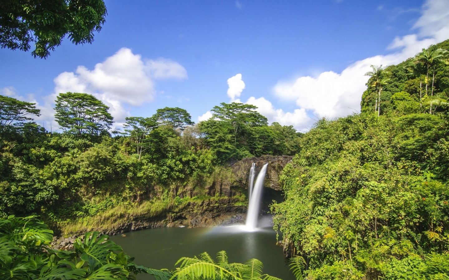 Fondo de pantalla Waimoku Hawaii Waterfall 1440x900