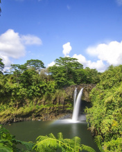 Sfondi Waimoku Hawaii Waterfall 176x220