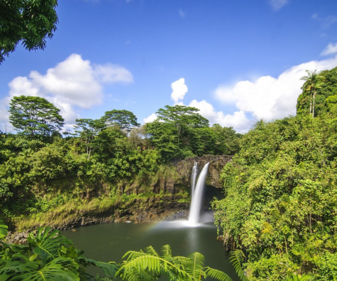 Fondo de pantalla Waimoku Hawaii Waterfall 480x400