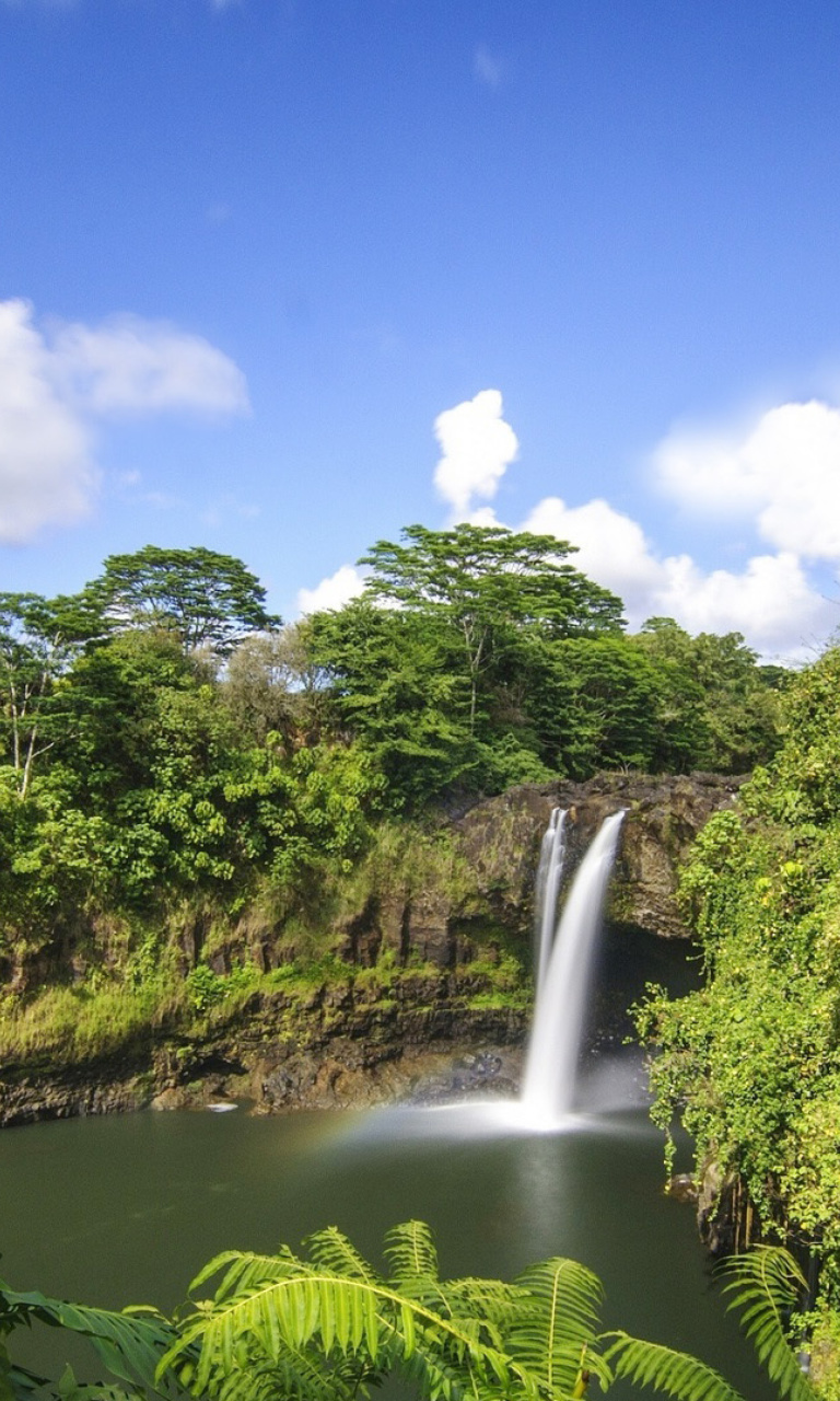 Sfondi Waimoku Hawaii Waterfall 768x1280