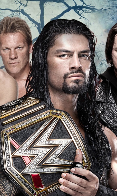 WWE Payback wallpaper 480x800