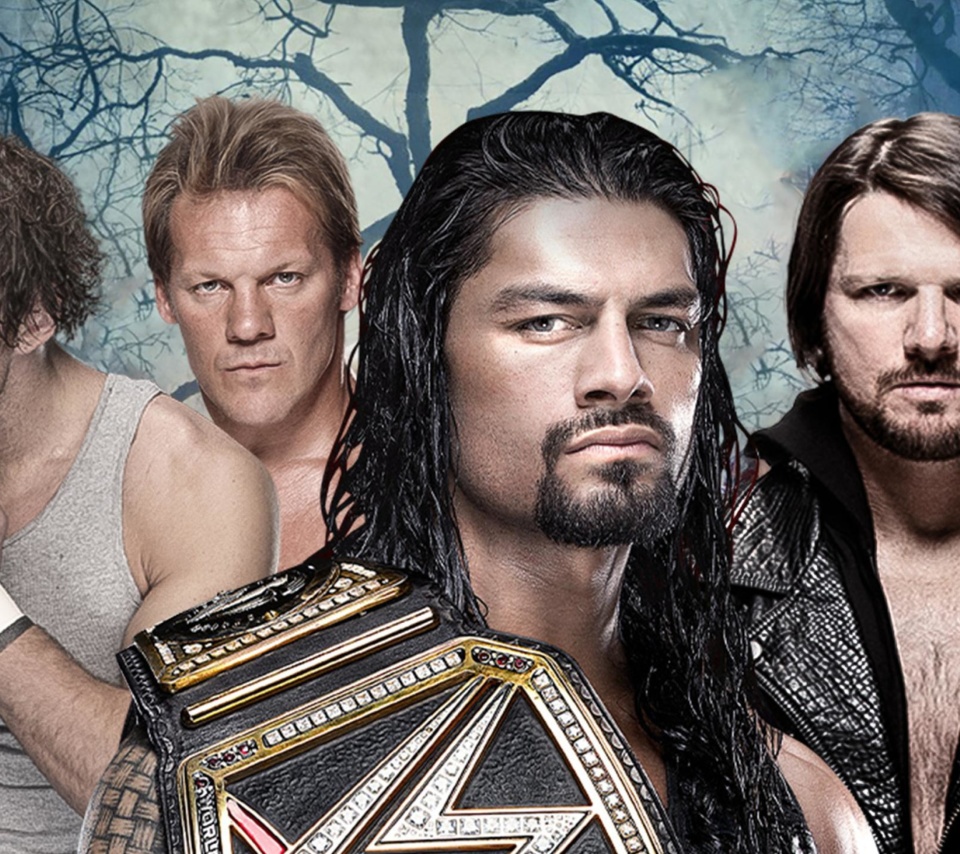 Обои WWE Payback 960x854