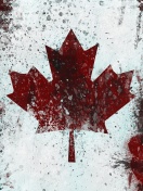 Обои Canada Flag 132x176