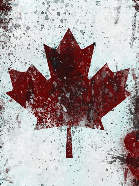 Screenshot №1 pro téma Canada Flag 480x640