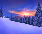 Sfondi Winter Sunshine 176x144