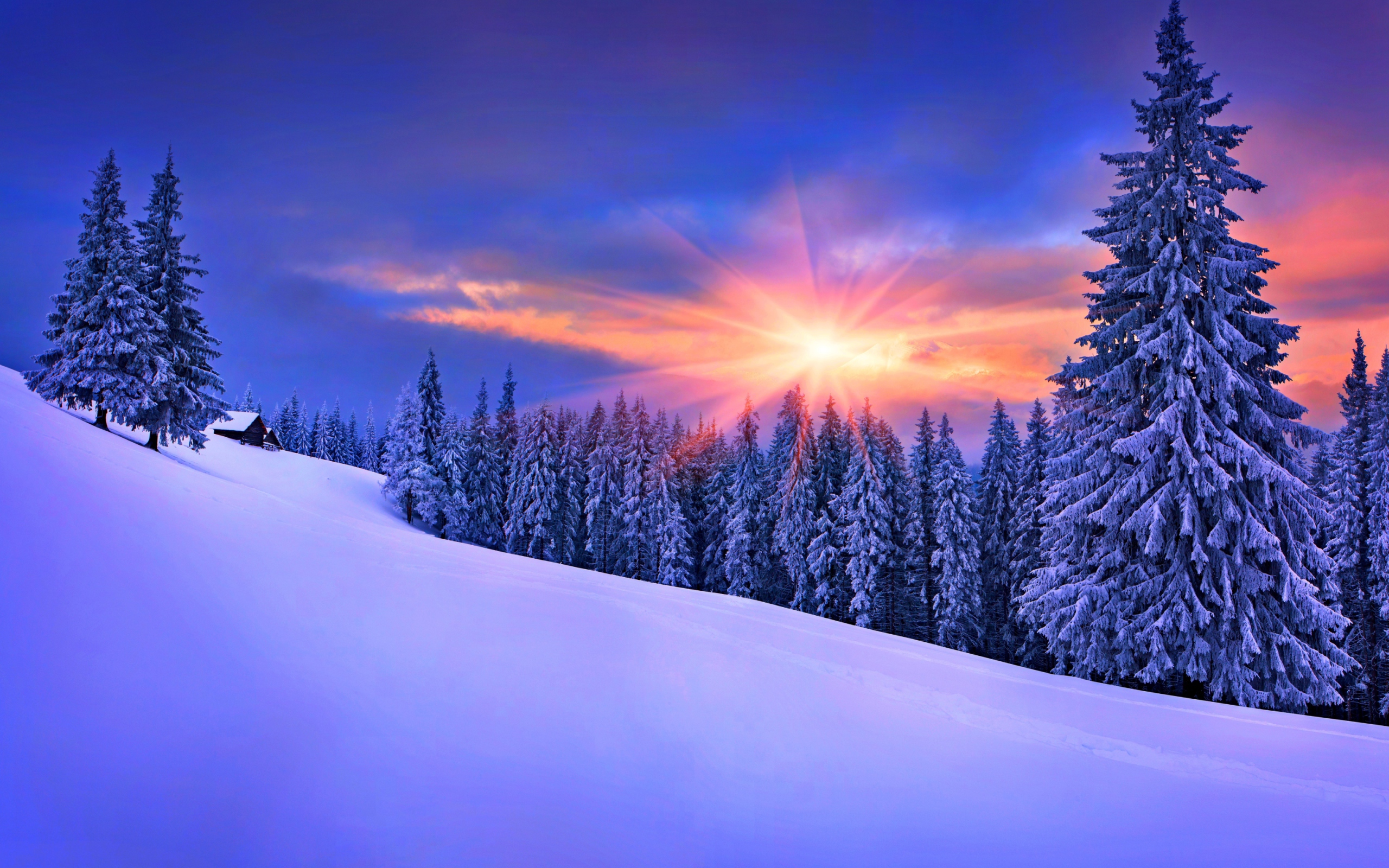 Screenshot №1 pro téma Winter Sunshine 2560x1600