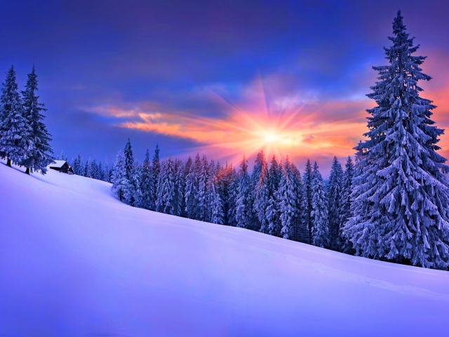 Das Winter Sunshine Wallpaper 640x480