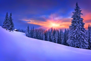 Winter Sunshine Picture for Android, iPhone and iPad