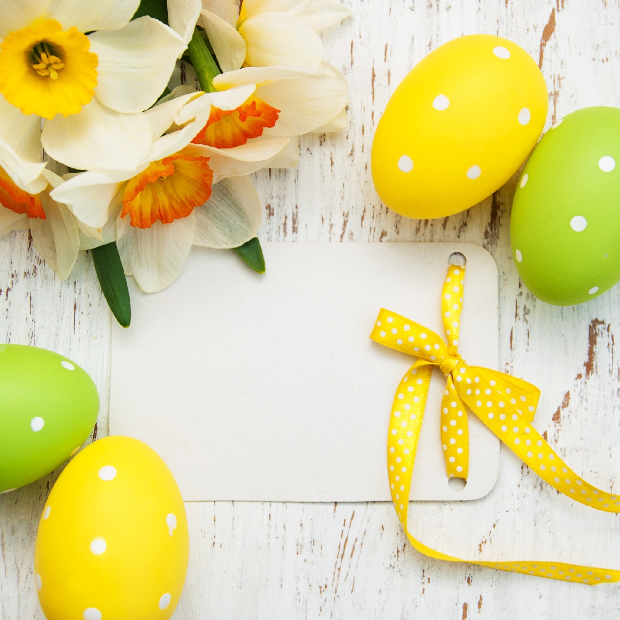 Обои Easter Yellow Eggs Nest 2048x2048