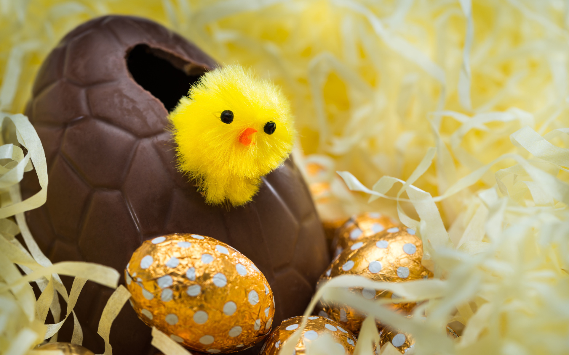 Обои Easter Egg 1920x1200