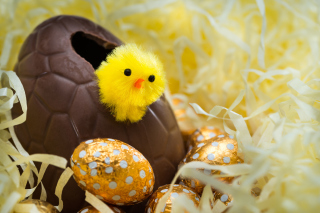 Easter Egg Background for Android, iPhone and iPad